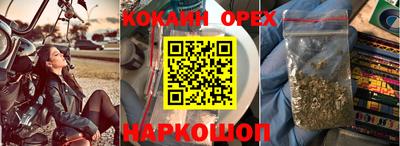 гашик Будённовск