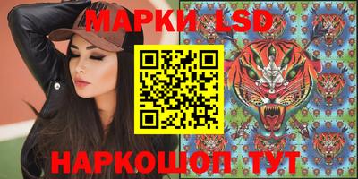 гашик Будённовск