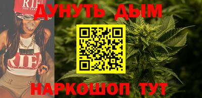 гашик Будённовск