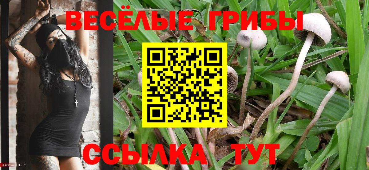 Псилоцибиновые грибы ЛСД Шумерля
