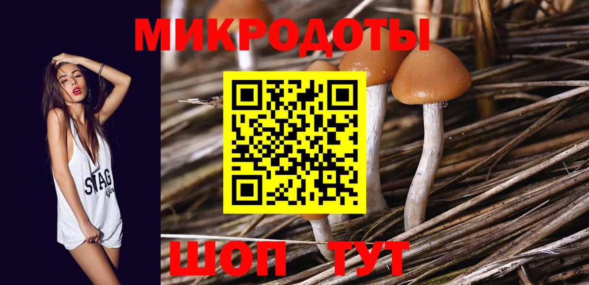 Шумерля  Псилоцибиновые грибы Psilocybine cubensis  Вход с VPN 